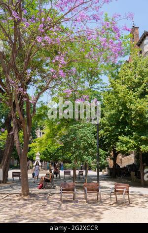 BARCELLONA, SPAGNA - 10 GIUGNO 2019: Alberi in fiore viola nel centro della città di Barcellona in Spagna Foto Stock