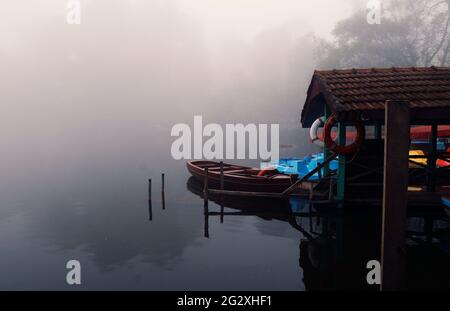 Nogy Kodaikanal Foto Stock