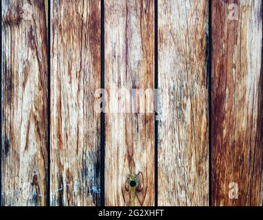 Doghe verticali in legno a grana morbida e tessitura Foto Stock