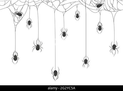 Halloween ragni sfondo. Ragni neri sull'illustrazione di sfondo di vettore cobweb appeso halloween spooky. Spioky Halloween ragno sfondo web Illustrazione Vettoriale