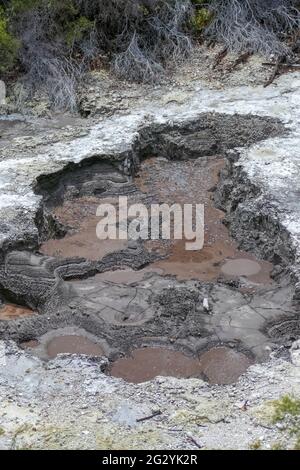 Dettaglio in un'area geotermica chiamata Waiotapu in Nuova Zelanda Foto Stock