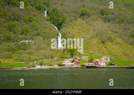 Colorate e belle tradizionali case rosse norvegesi sulle rive del fiordo. Cascata sullo sfondo con verde lussureggiante. Foto Stock