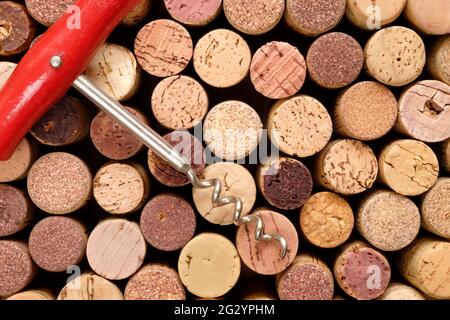 piatto di molti tappi di vino e cavalcate, vino e beva mock up Foto Stock