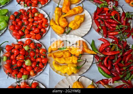 Assortimento di peperoncini sul mercato Foto Stock