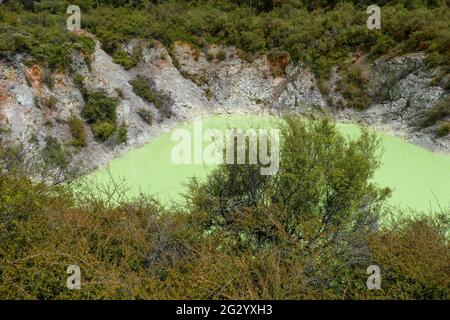 Roto Karikitea in un'area geotermica chiamata Waiotapu in Nuova Zelanda Foto Stock