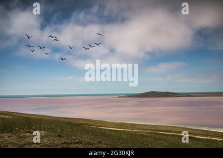 Lago Koyashskoe, Crimea, Russia Foto Stock