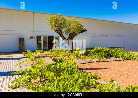 Villa de las Musas - Villa Romana di Arellano. Arellano, Navarra, Spagna, Europa Foto Stock