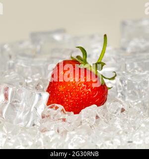 Fragola sdraiata in cubetti di ghiaccio, concetto minimo, sfondo luminoso Foto Stock