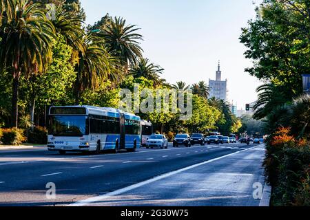 Vista sul lungomare del parco. Paseo del Parque. Malaga, Andalucía, Spagna, Europa Foto Stock