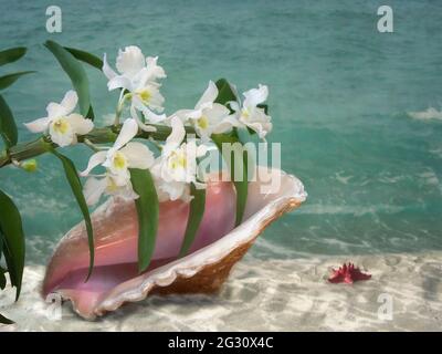 Ramo fiorito di orchidea sul mare Foto Stock