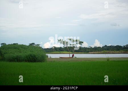 Splendida vista sulla natura del Bangladesh Foto Stock