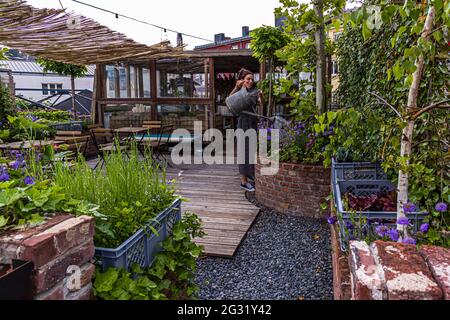 Urban Gardening sul tetto del Graace Hotel in Lussemburgo Foto Stock