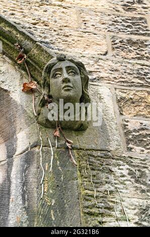 Testa di pietra scolpita, Clark Street Congregational Church Foto Stock