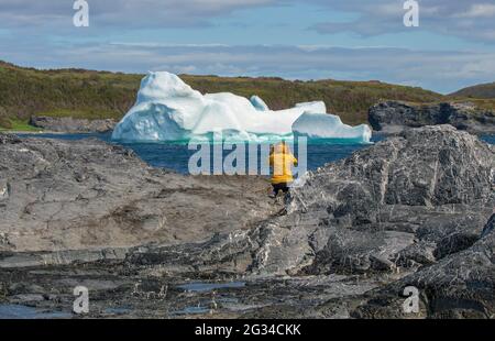 Cappotto iceberg shop