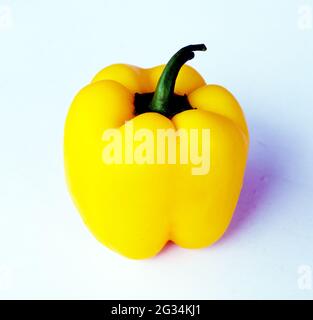 Un primo piano di un vegetale giallo capsicum. Foto Stock