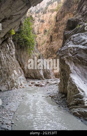 Famoso canyon Saklikent nella provincia di Antalya, Turchia Foto Stock