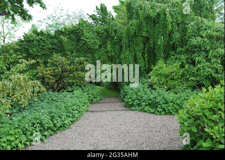 WOLLERTON, SHROPSHIRE / REGNO UNITO - 22 MAGGIO 2014: Il giardino a Wollerton Old Hall Foto Stock