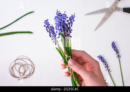 Le mani femminili raccolgono bouquet di muscari blu come regalo. Piccola azienda locale Pruning fiori. Fioraio in negozio di fiori. Stile ecologico. Fiorista al lavoro Foto Stock