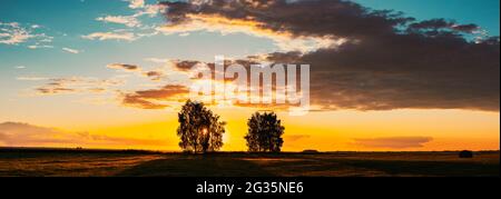 Sole che splende attraverso la tettoia dell'albero. Alberi boschi in Prato durante Sunset Sunrise. Luminoso e colorato drammatico cielo e terreno scuro con alberi Silhouettes Foto Stock