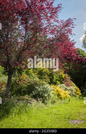 Linda Vista Gardens. Foto Stock