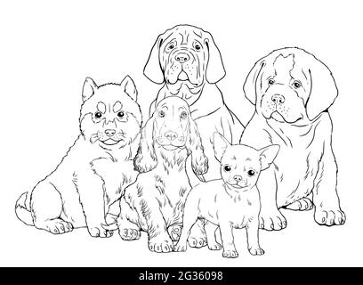 San Bernardo, Husky siberiano, Mastiff, Chihuahua, cucciolo di сocker spaniel. Simpatici cuccioli di cani. Modello di colorazione. Illustrazione digitale. Foto Stock