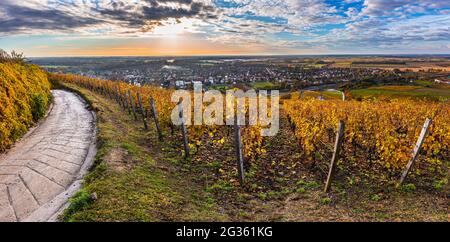 Tokaj, Ungheria - Vista panoramica dei famosi vigneti ungheresi della regione vinicola Tokaj con un bel cielo colorato all'alba su un caldo, g Foto Stock