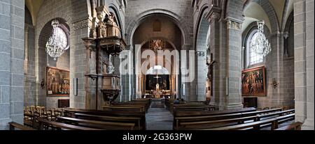 FRANCIA. HAUTE-LOIRE (43) PUY-EN-VELAY. NAVATA CATTEDRALE Foto Stock