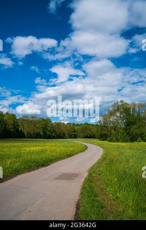 Germania, strada curva accanto a colorati prati fioriti natura paesaggio e fiori e alberi di foresta sotto il cielo blu e il sole in estate Foto Stock