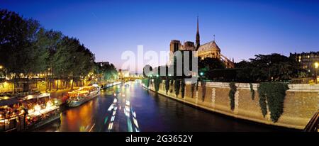 FRANCIA. PARIGI (75) ISOLA CITE. CATTEDRALE DI NOTRE DAME (BANCHINA DELLA RIVA SINISTRA) Foto Stock