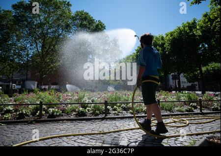 Magonza, Germania. 14 Giugno 2021. Un giardiniere della città di Magonza bagna un letto di fiori nel centro della città. Nella prossima settimana si suppone che sia superiore a 30 gradi in Renania-Palatinato. Credit: Sebastian Gollnow/dpa/Alamy Live News Foto Stock