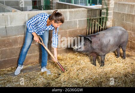 Ritratto di donna agricoltore alimentando i suini di razza iberica in agriturismo Foto Stock
