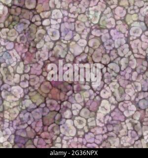Lichen, Mushroom, famiglia Fungus di colori diversi come modello organico senza giunture. Diverse specie di micromicrorganismi producono texture uniche. Foto Stock