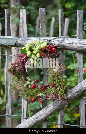 corona d'autunno realizzata con materiali naturali raccolti appesi ad una recinzione in legno Foto Stock