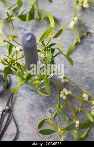 candela con mistletoe come decorazione della tabella Foto Stock