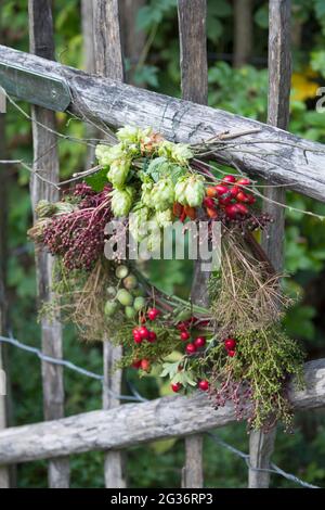 corona d'autunno realizzata con materiali naturali raccolti appesi ad una recinzione in legno Foto Stock