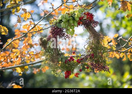 corona d'autunno realizzata con materiali naturali raccolti appesi a un ramoscello di quercia Foto Stock