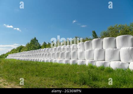 Campo di campagna con balle di fieno avvolte in sacchi di plastica in una giornata di sole contro un cielo blu Foto Stock