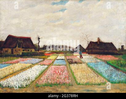 Arte / pittura. Vincent van Gogh (olandese, 1853 - 1890), Flower Beds in Holland, c.. 1883, olio su tela su legno. Foto Stock