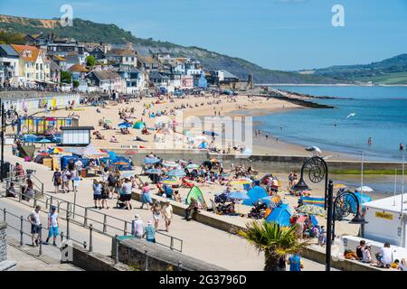 Lyme Regis, Dorset, Regno Unito. 14 Giugno 2021. Regno Unito Meteo. Gli amanti del sole si accorrono in spiaggia per godersi il sole caldo nel giorno più caldo dell'anno. Credit: Celia McMahon/Alamy Live News Foto Stock