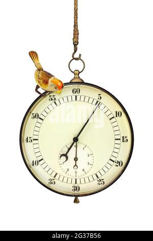 Cronometro vintage grande con piccolo uccello giocattolo appeso davanti a uno sfondo bianco Foto Stock