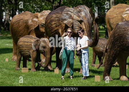 La gente prende un selife accanto alle sculture della coesistenza, una mostra di arte ambientale che presenta 100 elefanti asiatici di dimensioni vive a Green Park, Londra, mentre il tempo caldo continua, con previsori che avvertono del rischio di docce tuose verso la fine della settimana. Foto Stock