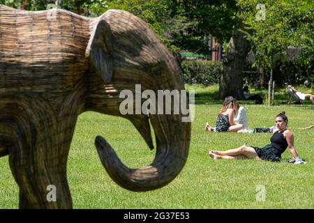 Le persone si siedono al sole accanto alle sculture della coesistenza, una mostra d'arte ambientale con 100 elefanti asiatici dal vivo a Green Park, Londra, mentre il caldo continua, con previsori che avvertono del rischio di docce tuose verso la fine della settimana. Foto Stock