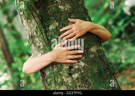 Ecologista tree hugger è costeggiata tronco di legno nella foresta, bracci femmina intorno all'albero, il fuoco selettivo Foto Stock