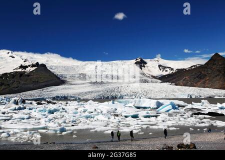 Iceberg, pezzi galleggianti di ghiaccio, ghiaccio glaciale, ghiacciaio, ghiacciaio calvante, Laguna glaciale, lago glaciale, laguna glaciale di Fjallsarlon, Vatnajoekull Foto Stock