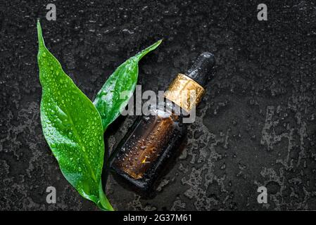 Prodotto di bellezza contagocce (siero di faccia, fluido, emulsione, olio essenziale) e foglie verdi su fondo bagnato di pietra nera con gocce d'acqua. Naturale organico s Foto Stock