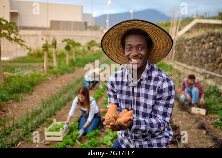 Raccoglitore nero sorridente con carote fresche su piantagione Foto Stock