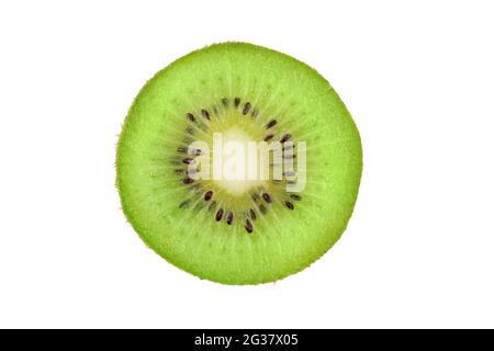 Fetta di closeup di un kiwi verde isolato su sfondo bianco. Primo piano di frutta fresca succulenta singola qiwi. Foto Stock