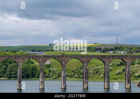 Berwick-upon-Tweed, Regno Unito. Vista del ponte ferroviario sul fiume Tweed. Foto Stock