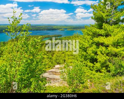 Scivolo gigante Carrello Loop Road, Parco Nazionale di Acadia, Maine, Stati Uniti d'America Foto Stock