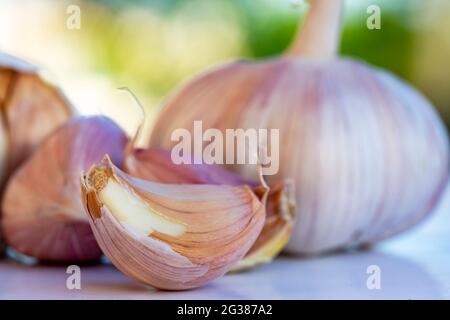 macrofotografia di freschi garlics organici. Foto Stock